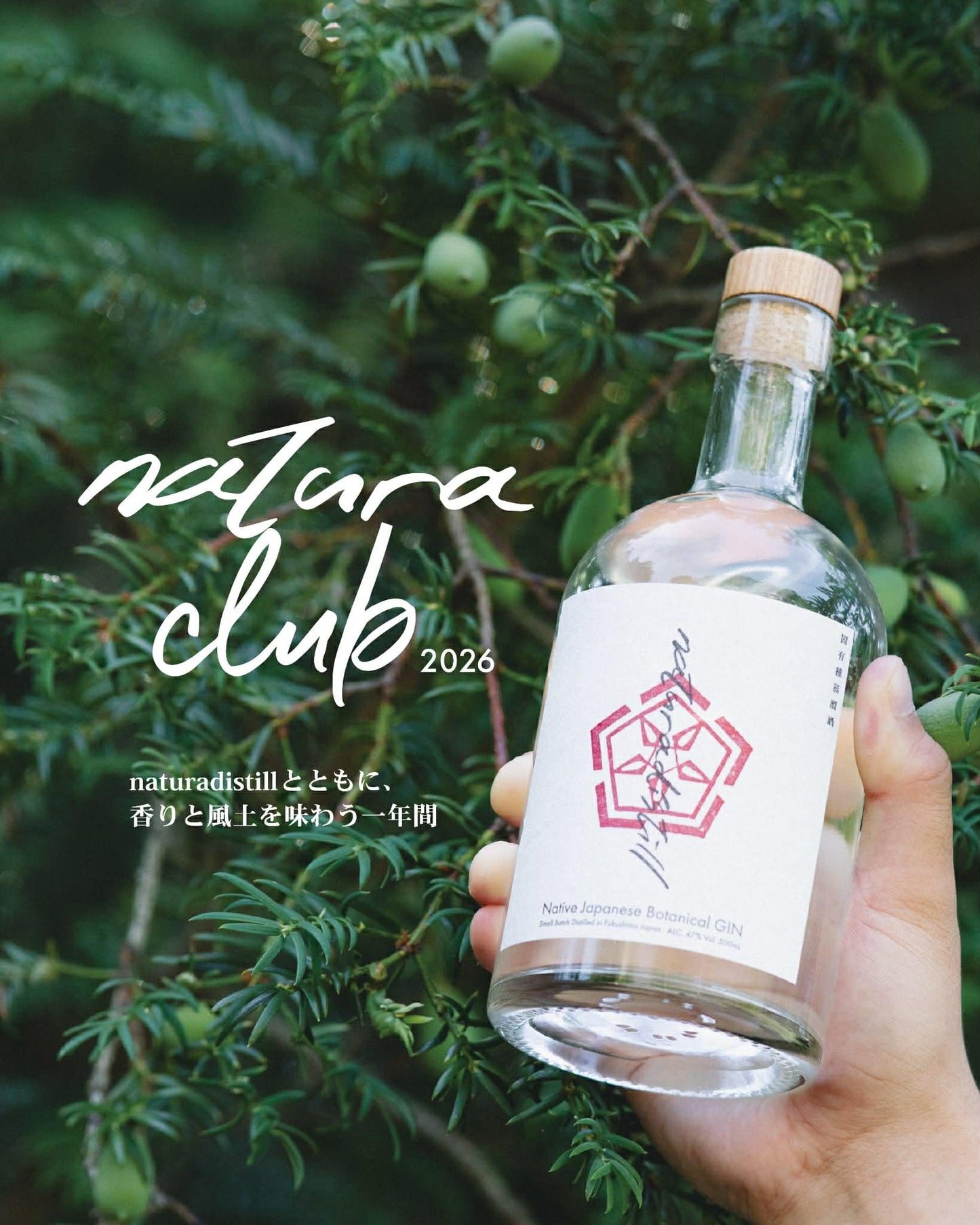 natura club 2026 メンバー募集