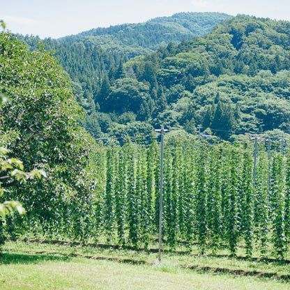 naturadistill紫蘇忽布蒸溜酒 Shiso Hop GIN